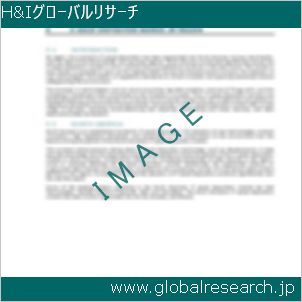 グローバルリサーチ調査レポートのイメージ